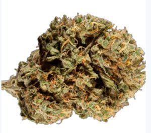 sativa strain for energy durban poison