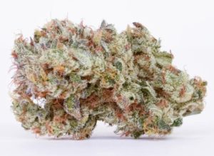 sativa strain for energy mango mintality by Pure Beauty