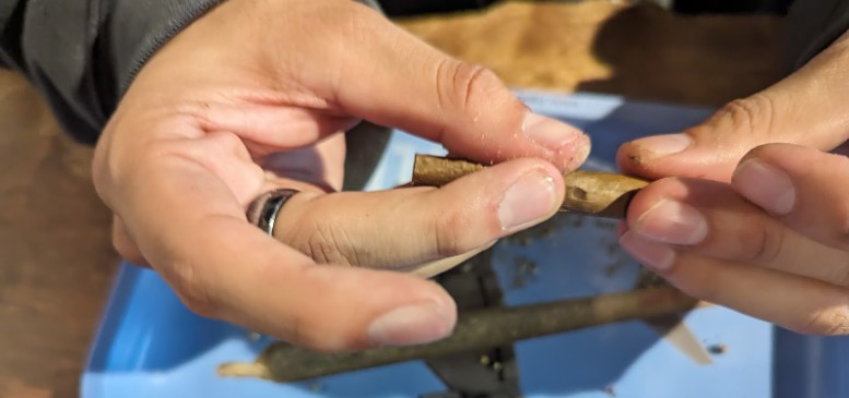 image of rolling an infused blunt