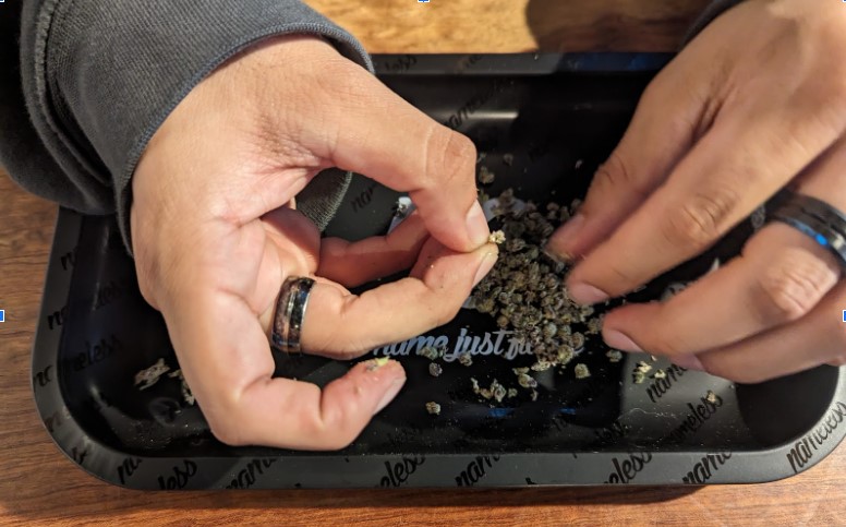 image of grinding cannabis flower by hand