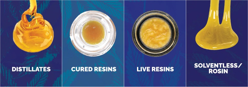 image of cannabis distillates, cured resin, live resins, and solventless resins